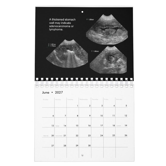 Calendário de Ultrassons Veterinários (Jun 2027)