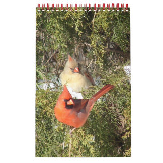 Calendário de um Ano de Cardinais