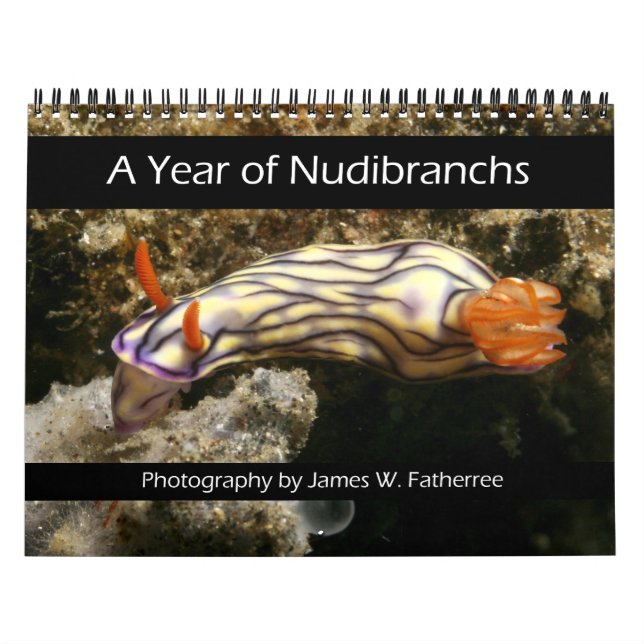 Calendário de Um Ano de Nudibrânquios (Capa)