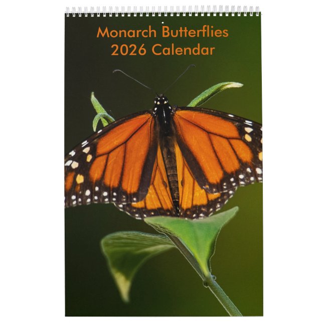 Calendário de Uma Página de Borboletas Monarca (Capa)