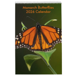 Calendário de Uma Página de Borboletas Monarca