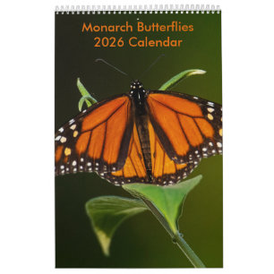 Calendário de Uma Página de Borboletas Monarca