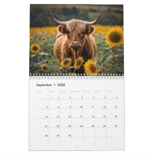Calendário de Vaca do Highland