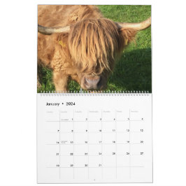 Calendário de Vacas