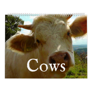 Calendário de Vacas