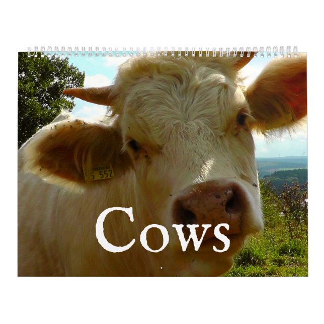 Calendário de Vacas (Capa)