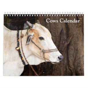 Calendário de Vacas 2027