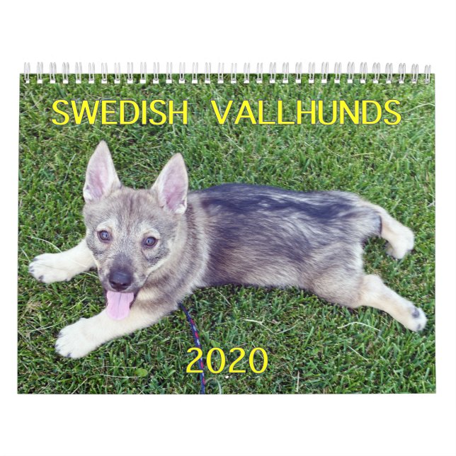 CALENDÁRIO DE VALLHUND SUECO DE 2020 (Capa)