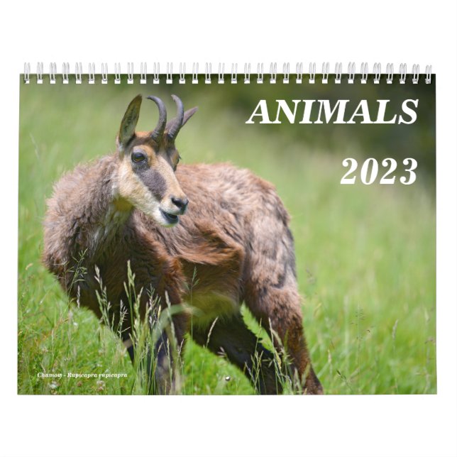 Calendário de vários animais (Capa)