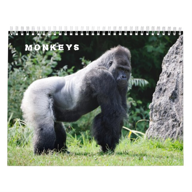 Calendário de vários macacos (Capa)