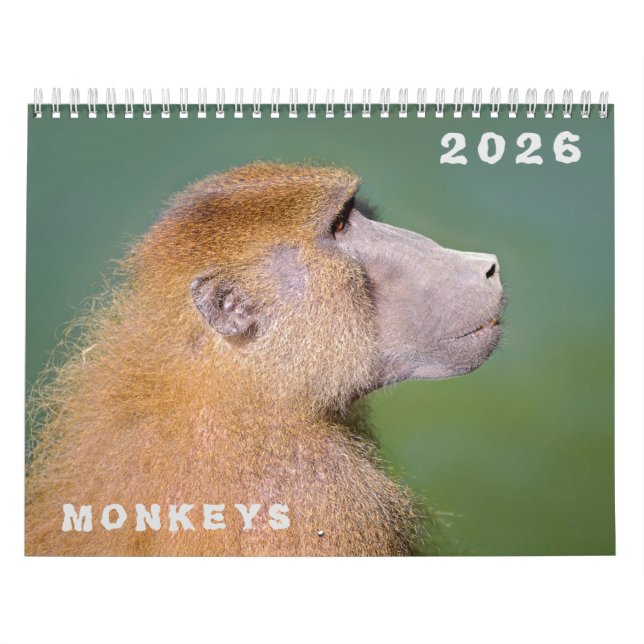 Calendário de vários macacos (Capa)
