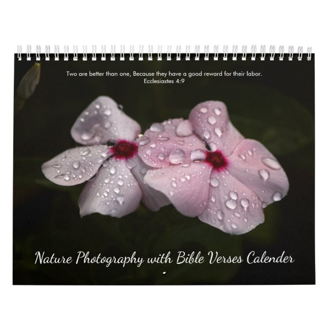 Calendário de Versículos da Bíblia de Fotografia d (Capa)