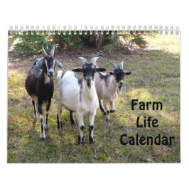 Calendário de Vida da Fazenda