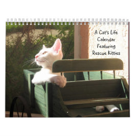 Calendário de Vida de Um Gato