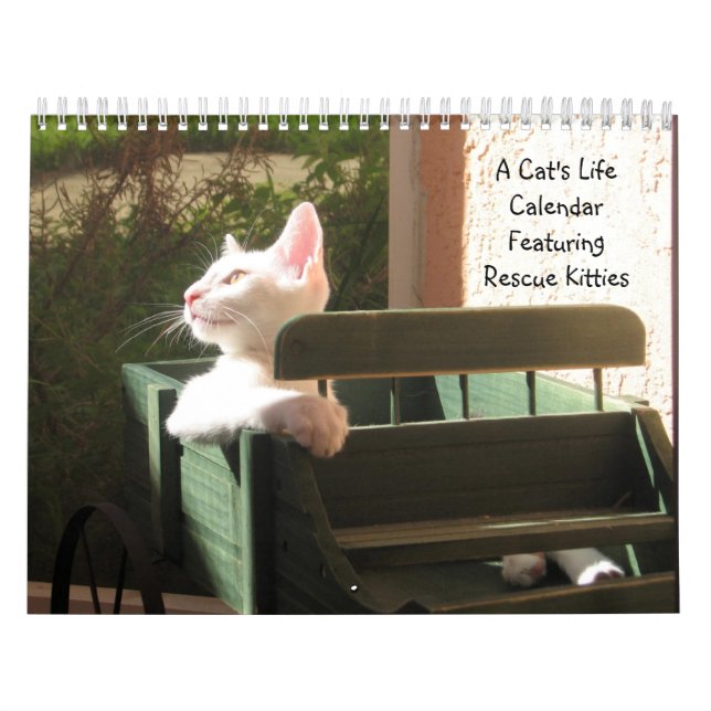Calendário de Vida de Um Gato - Com Cotações Diver (Capa)