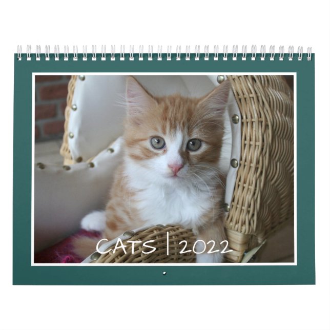 Calendário de Vida do Cat (Capa)