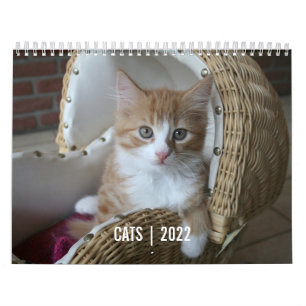 Calendário de Vida do Cat