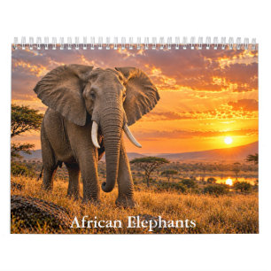 Calendário de Vida Selvagem de Elefantes Africanos