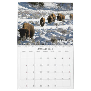 Calendário de Vida Selvagem de Terras Públicas d