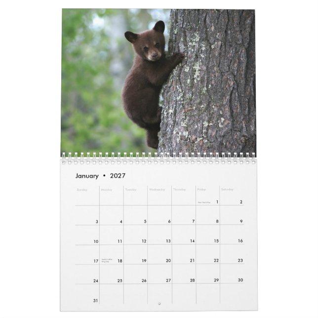 Calendário de Vida Selvagem do Alasca (Jan 2027)