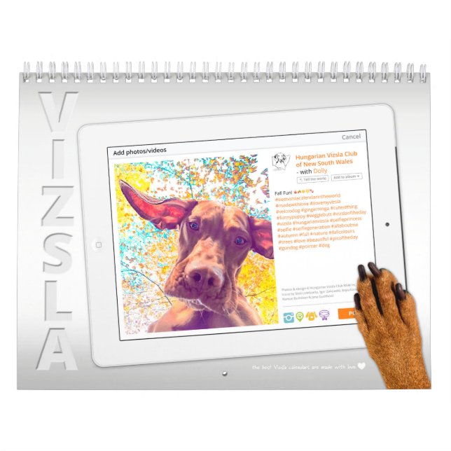 Calendário de Vizsla Selfie (Capa)