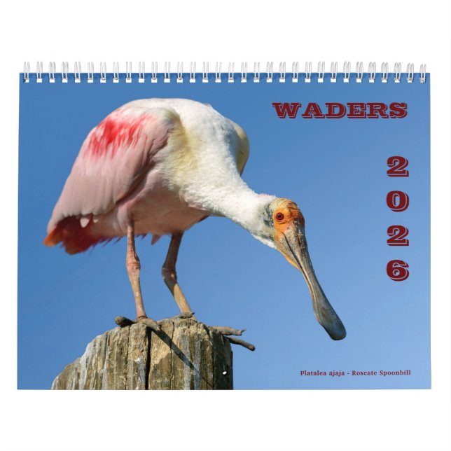 calendário de waders (Capa)