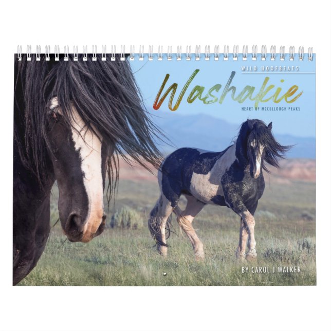 Calendário de Washakie de Cavalo Selvagem (Capa)