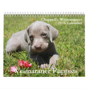 Calendário de Weimaraner