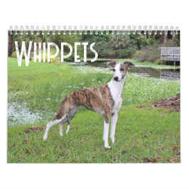 Calendário de Whippet