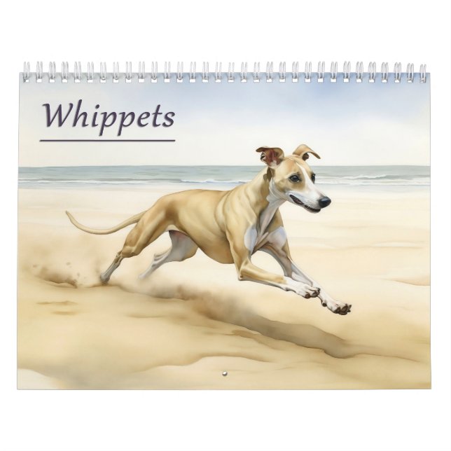 Calendário de Whippets, qualquer ano (Capa)