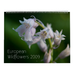 Calendário de Wildfowers 2009 do europeu