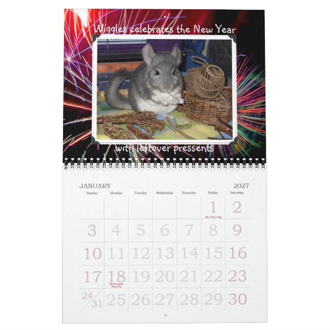 Calendário de Wunderchins 2012 (Jan 2027)