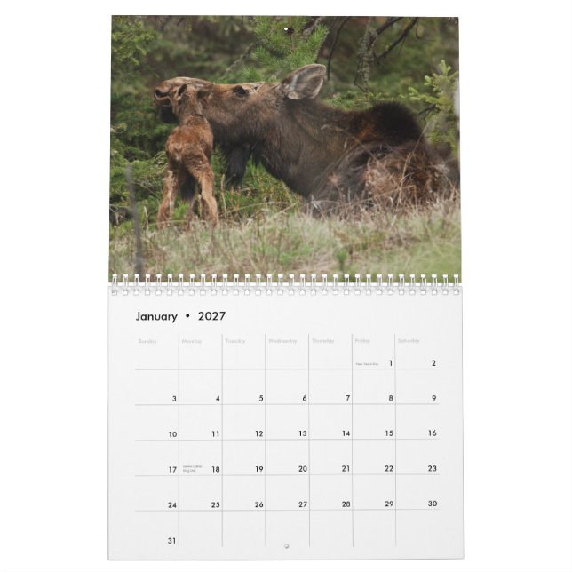 Calendário de Yellowstone 2010 (Jan 2027)
