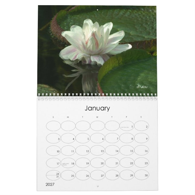 Calendário deixe 2013 brilhar (Jan 2027)