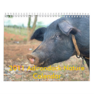Calendário Design do porco da fazenda