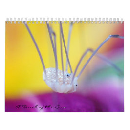 Calendário Desinsete-me!