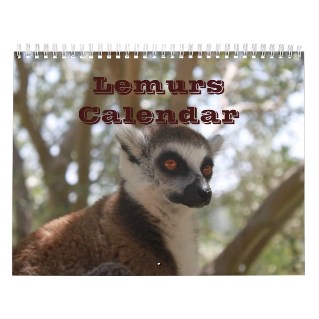 Calendário Destino Personalizado Do Zoológico Natural Da Espé (Capa)
