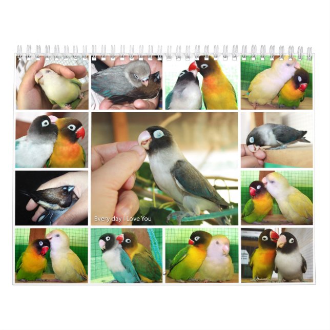 Calendário Diário eu te amo (Capa)