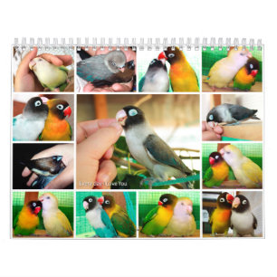 Calendário Diário eu te amo