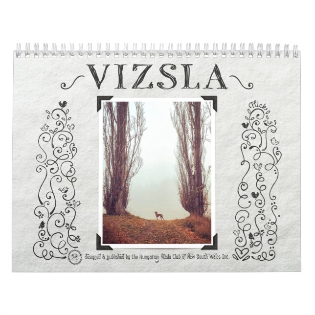 Calendário Diário VIZSLA Vizsual (Capa)