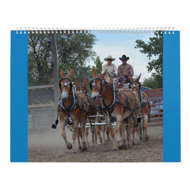 Calendário Dias da mula de Montana (Capa)