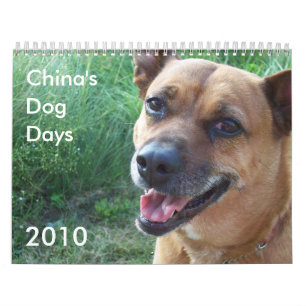 Calendário Dias de cão 2010 de China