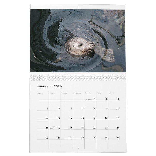 Calendário Diversidade Animal (Jan 2026)