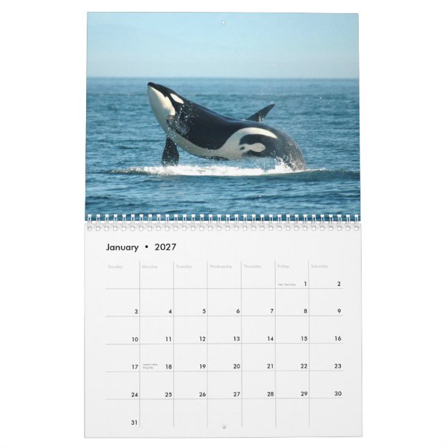 Calendário do ~ 2012 das orcas (Jan 2027)