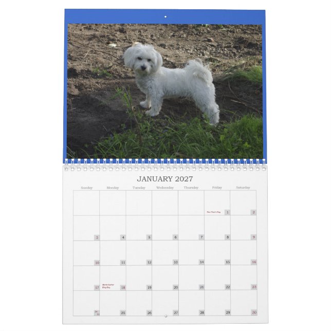 Calendário do algodão (Jan 2027)