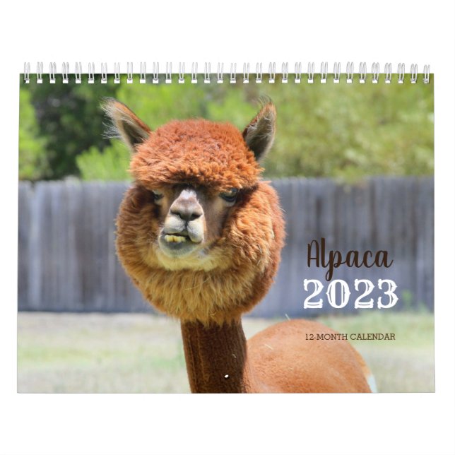 Calendário do Alpaca 2023 (Capa)