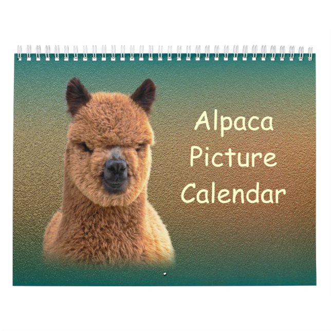 Calendário do Alpaca 2023 (Capa)