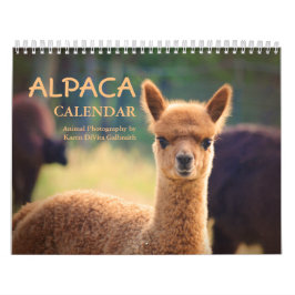 Calendário do Alpaca 2025