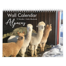 Calendário do Alpaca 2025 por Hello Bluebird