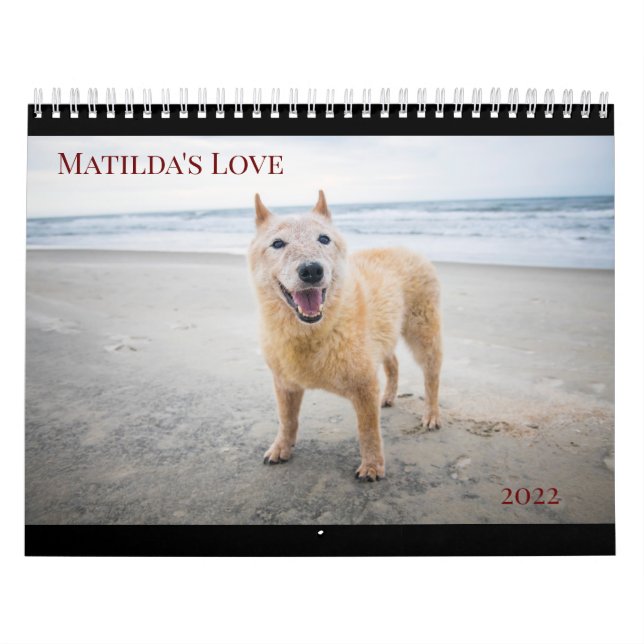 Calendário do Amor 2022 de Matilda (Capa)